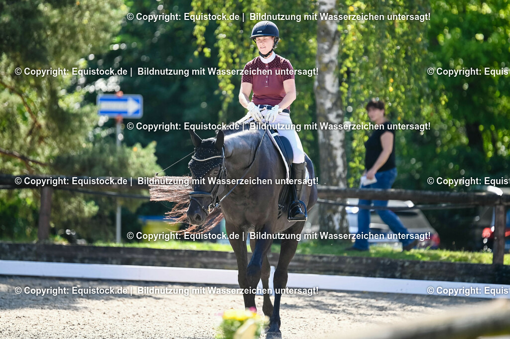 20230908_06_Dressur-L-Trense_0764 | equistock