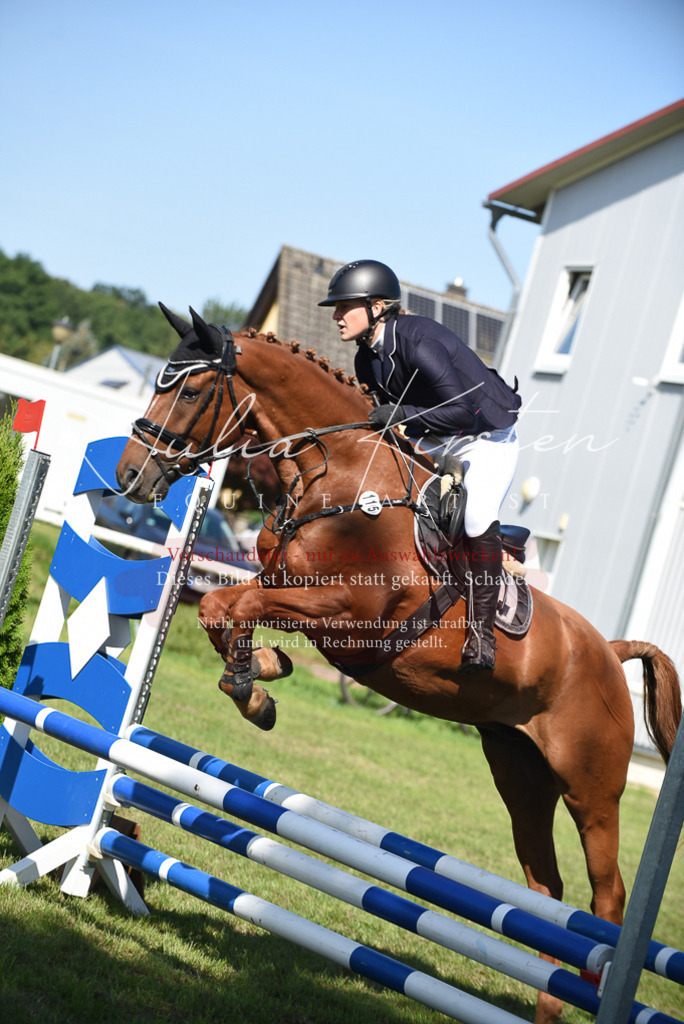 DSC_9220 | Pferde- und Turnierfotografie in Westsachsen. Pferdeportraits, Auftragszeichnungen und intuitive Kunst.