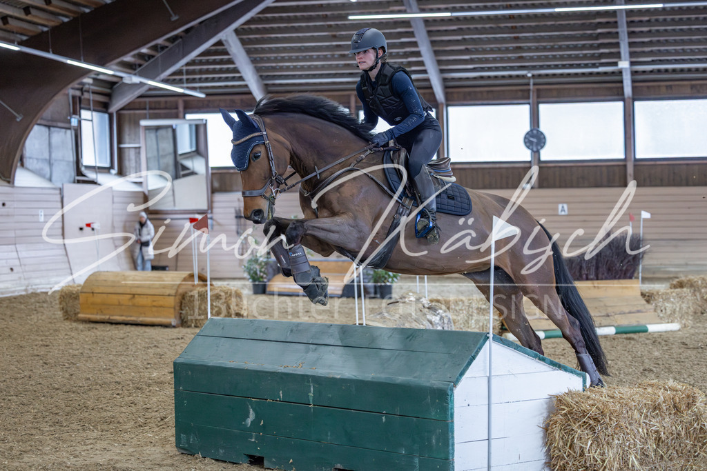 20260221-_3LI9215 | Tierfotografie Pferde, Hunde, Katzen, Haustiere.
Turnierfotografie Reitturniere, Reiten, Springreiten, Dressur in Hanau, dem Main-Kinzig-Kreis und dem Rhein-Main- Gebiet um Frankfurt