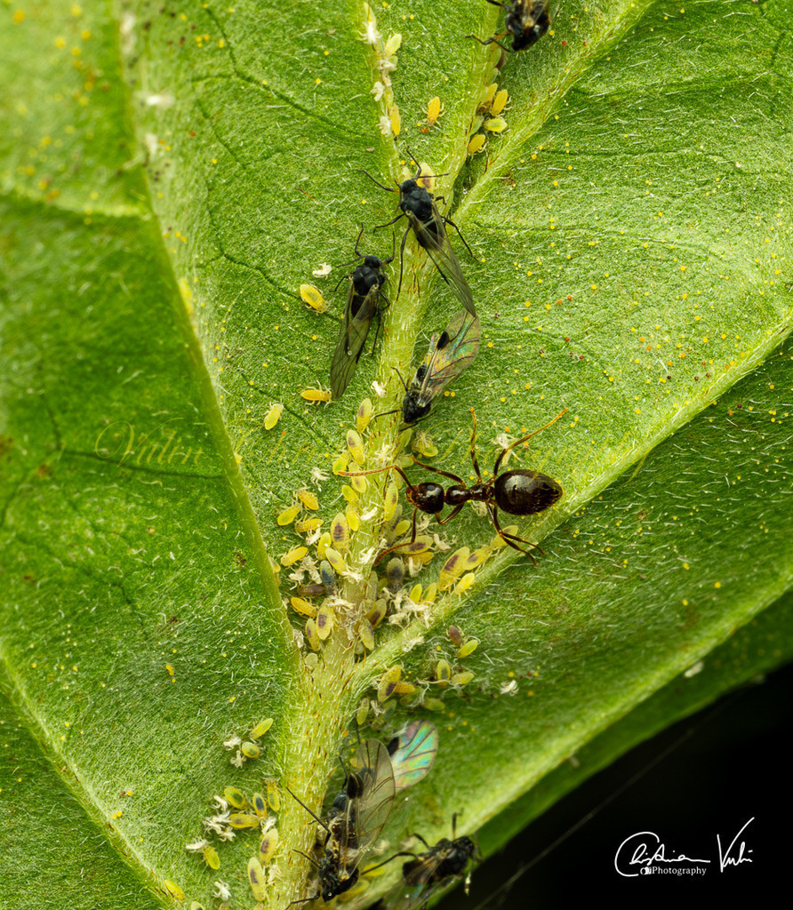 MN 14 | Christian Vulin  - Realisiert mit Pictrs.com