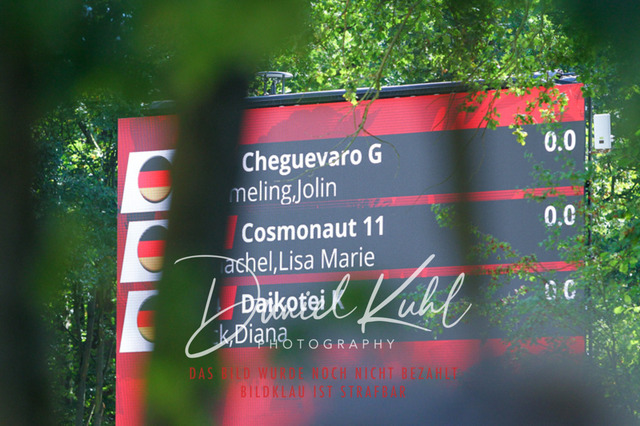 DKP41959 | Turniersportfotografie; Pferdefotografie; Dressurfotografie