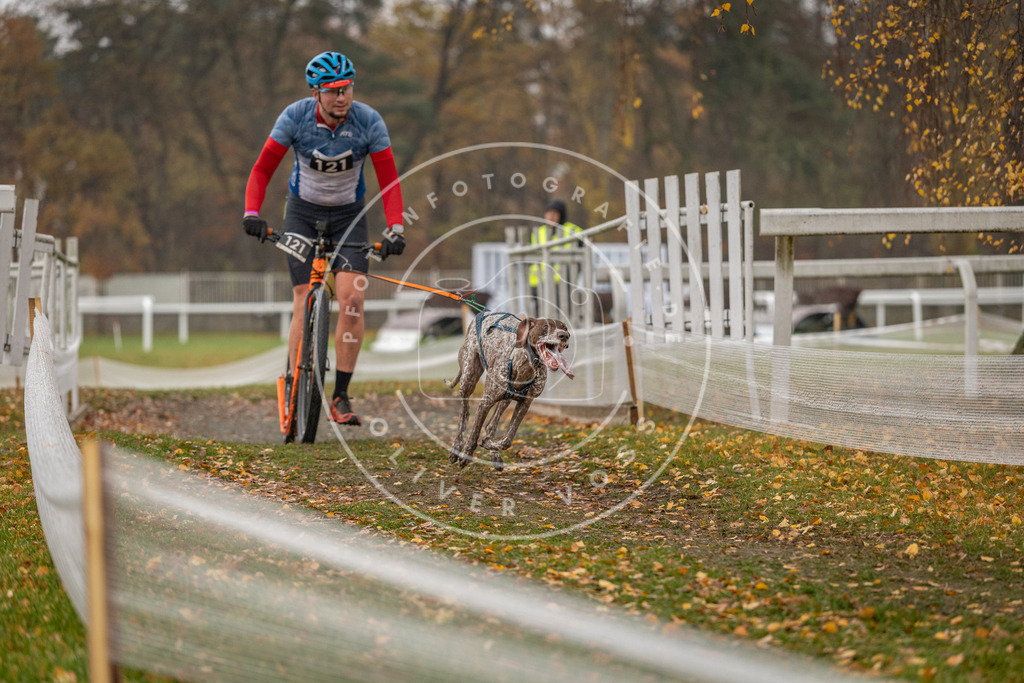 CaniXpix_DV3A8259 | Hundefotografie, Tierfotograf, Pfotenfotografie, Fotoshooting Hund, Hunde Portrait, Hundesport, Hundeportraits, Heideshooting, Hunde, Sportfotograf, Hundefotograf, Turnierhundsport, THS,  - Realisiert mit Pictrs.com