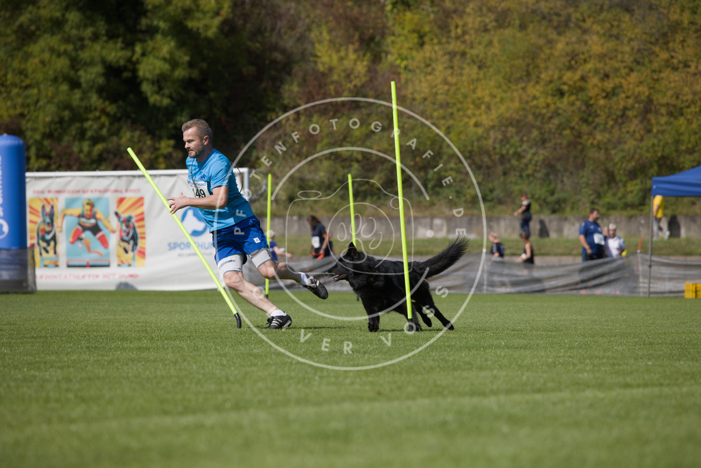 0L8A3132 | Hundefotografie, Tierfotograf, Pfotenfotografie, Fotoshooting Hund, Hunde Portrait, Hundesport, Hundeportraits, Heideshooting, Hunde, Sportfotograf, Hundefotograf, Turnierhundsport, THS,  - Realisiert mit Pictrs.com