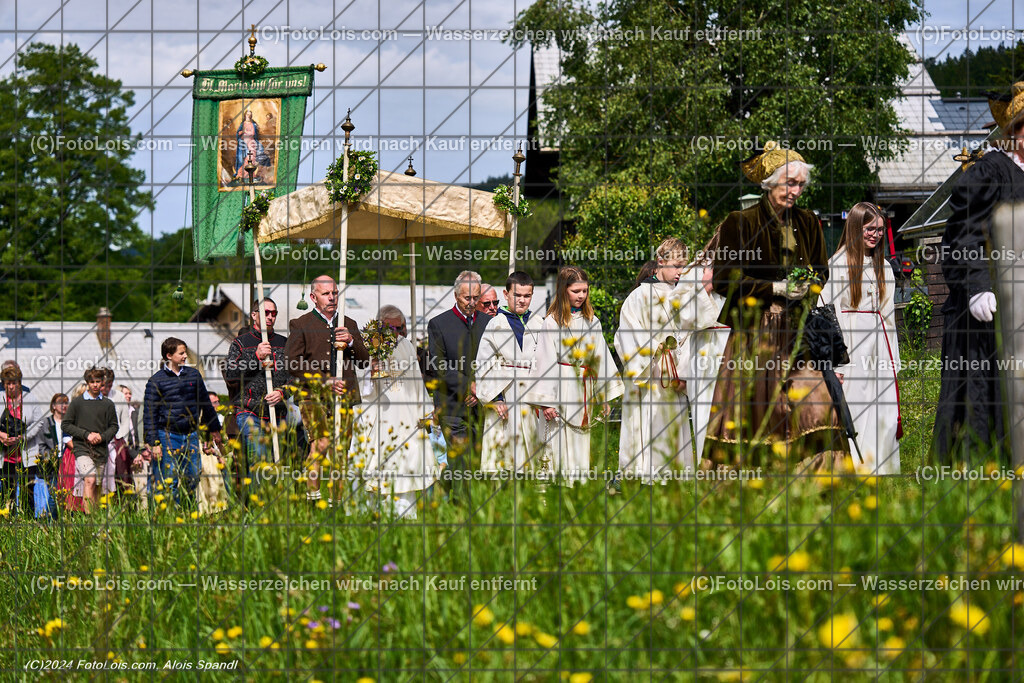 ALP7754_Fronleichnam_Lackenhof_Umzug | (C)FotoLois.com, Alois Spandl. FRONLEICHNAM in Lackenhof mit Pfarrer Norbert Burmettler, Musikkapelle, Feuerwehr, Goldhaubengruppe und vielen LackenhoferInnen, Do 30. Mai 2024.