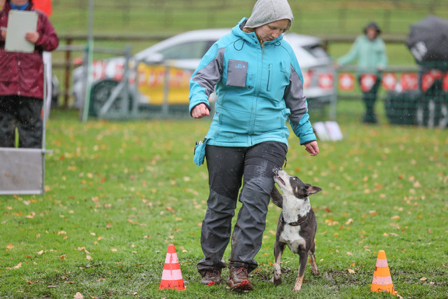 2025_Rally_Obedience_SM-242 | Ich fotografiere Hundeausstellungen, Sportanlässe, Zuchtstätten, Hundezucht, Hundeportrait, Lagotto - Realisiert mit Pictrs.com
