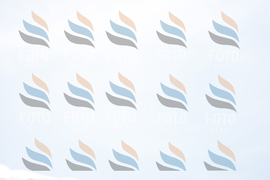 _W1G2940 | holidayphoto