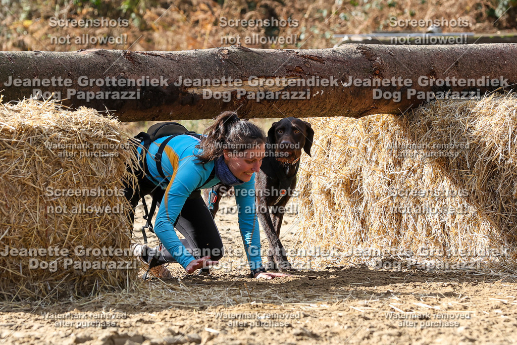 Dog Paparazzi - Strongdog 10-25-5325 | Dog Paparazzi Jeanette Grottendiek Fotografie & Videografie - Realisiert mit Pictrs.com