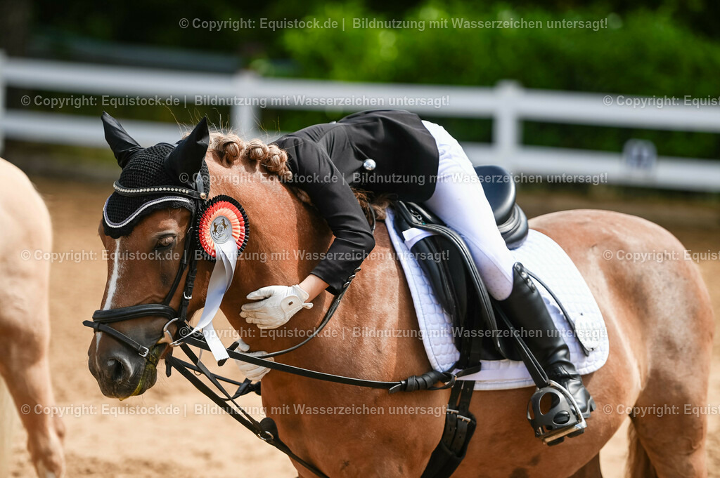 20230716_10-3_Reiter-WB Schritt - Trab - Galopp_0237 | equistock