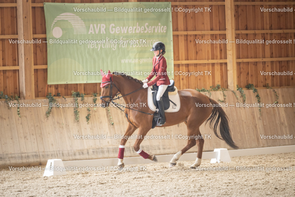 _D5A5570 | Emotionale Pferde- & People-Fotografie rund um Heidelberg, Leimen & Umgebung. Natürliche Fotos von Pferd, Mensch & Familie. Jetzt Termin sichern!