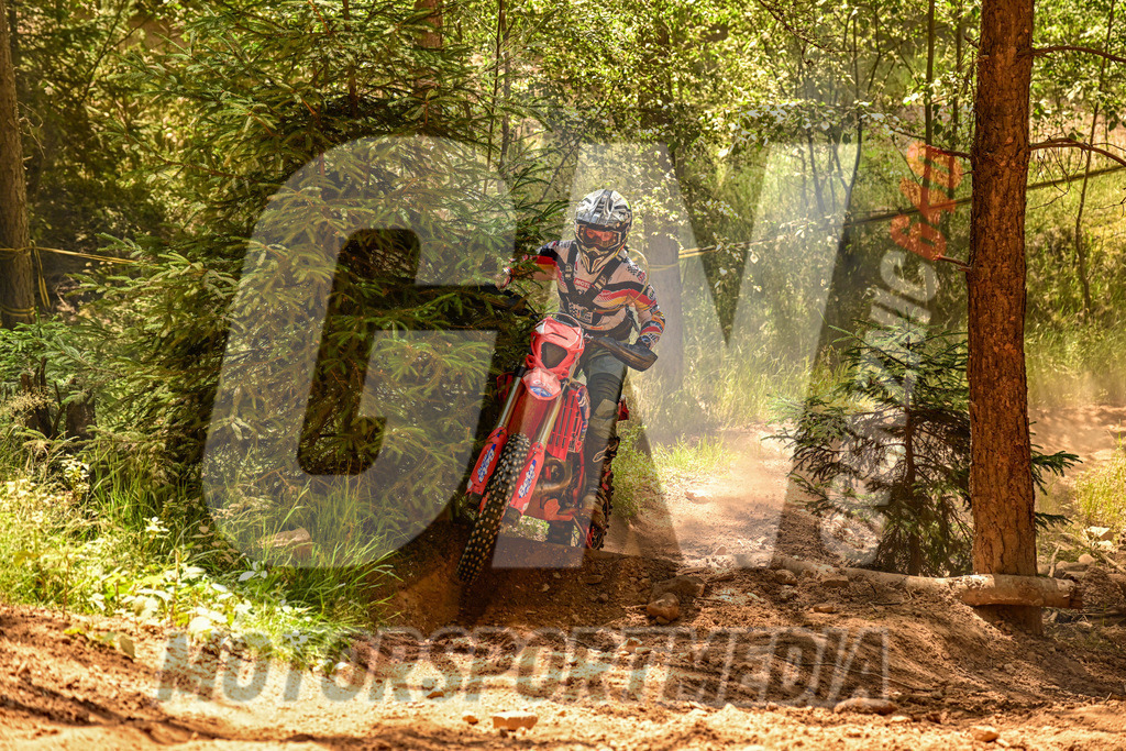 NZ8_3158 | grenznic640