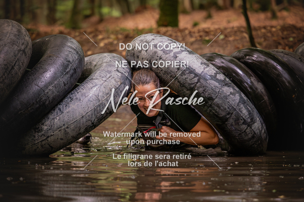 nelerasche_SaWingst1000-1030_278 | nelerasche