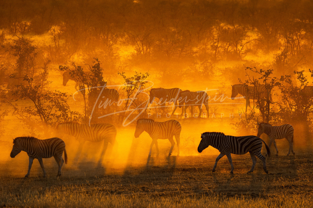 5D2A3213 Kopie | Buy high-quality aviation and travel photography prints by professional photographer Timo Breidenstein. Authentic images, professionally printed, worldwide shipping. - Realisiert mit Pictrs.com