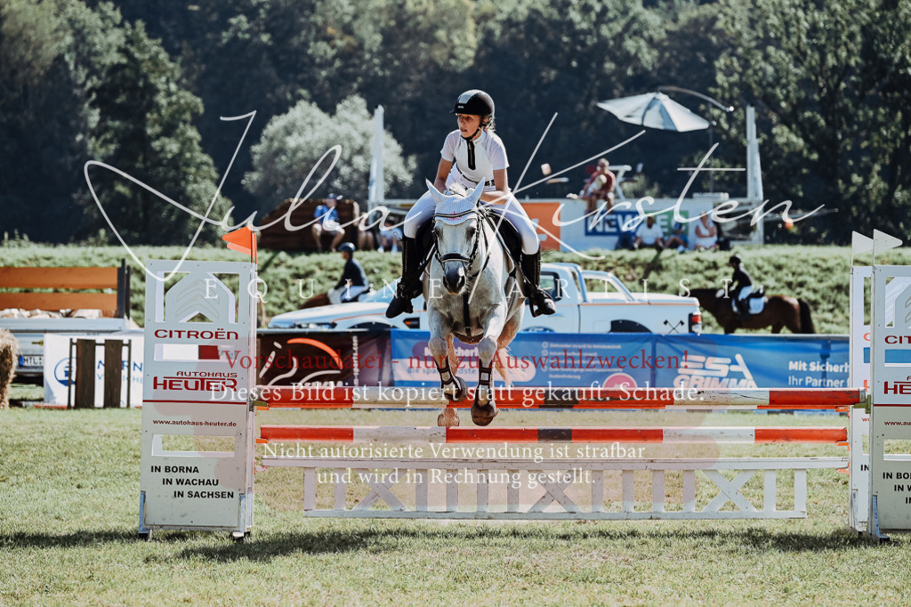 DSC_6082 | Pferde- und Turnierfotografie in Westsachsen. Pferdeportraits, Auftragszeichnungen und intuitive Kunst.