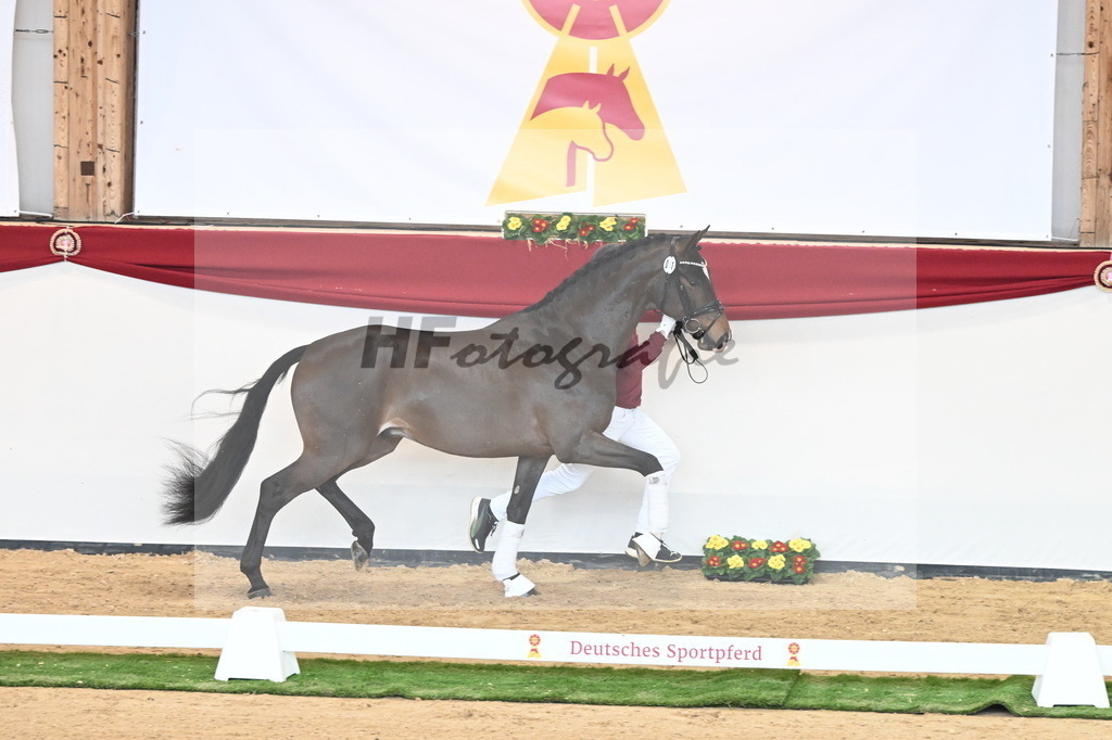 Kat.-Nr. 71 v. Va Bene_Müller_2240952 | hf-fotografie - Realizzato con Pictrs.com