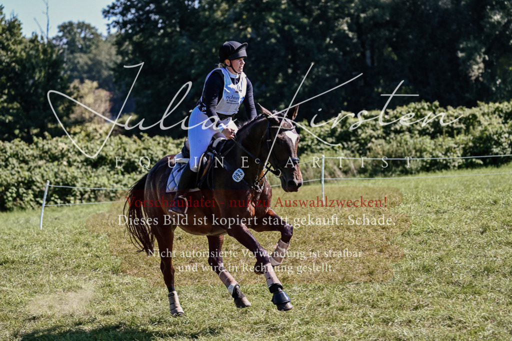 DSC_1870 | Pferde- und Turnierfotografie in Westsachsen. Pferdeportraits, Auftragszeichnungen und intuitive Kunst.