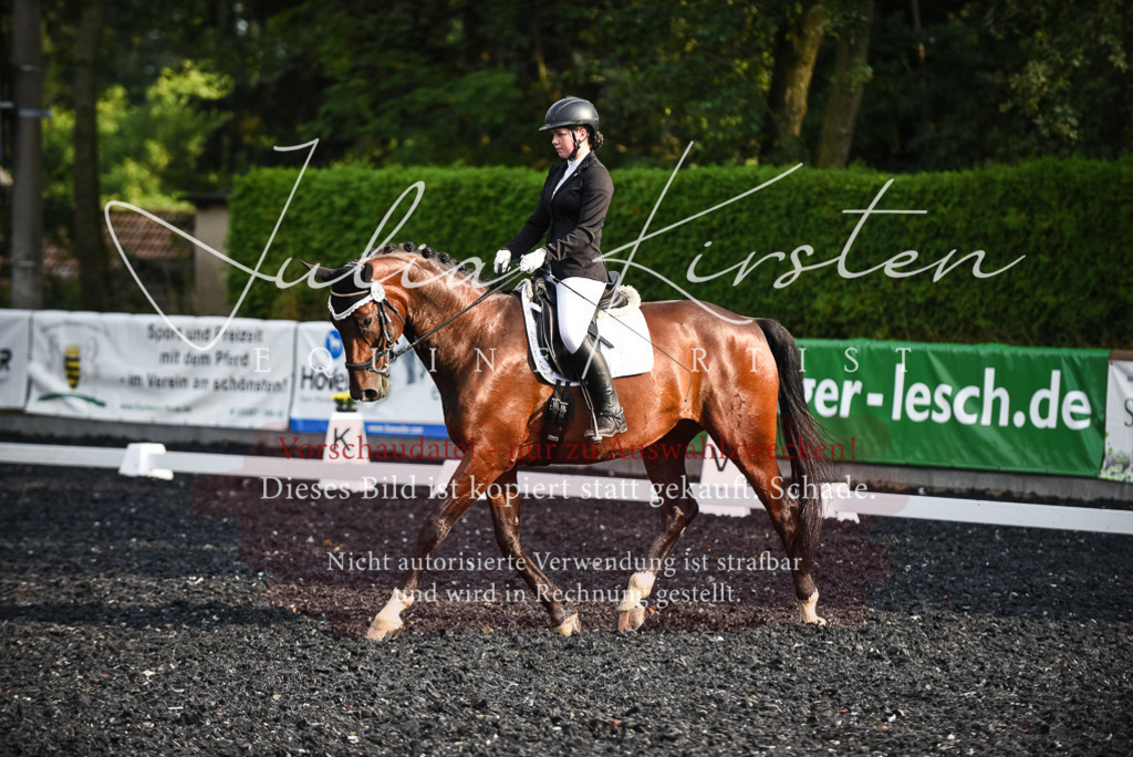 DSC_3329 | Pferde- und Turnierfotografie in Westsachsen. Pferdeportraits, Auftragszeichnungen und intuitive Kunst.