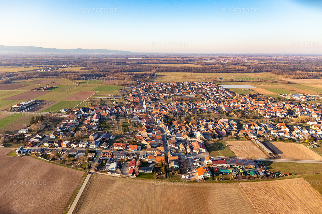 Luftbild: landwirtschaftlichen Feldern und Nutzflächen in Ottersheim bei Landau im Bundesland Rheinland-Pfalz in Deutschland. Foto: IMG_126111.jpg vom 07.03.2021 durch Werner Riehm/FLY-FOTO.de