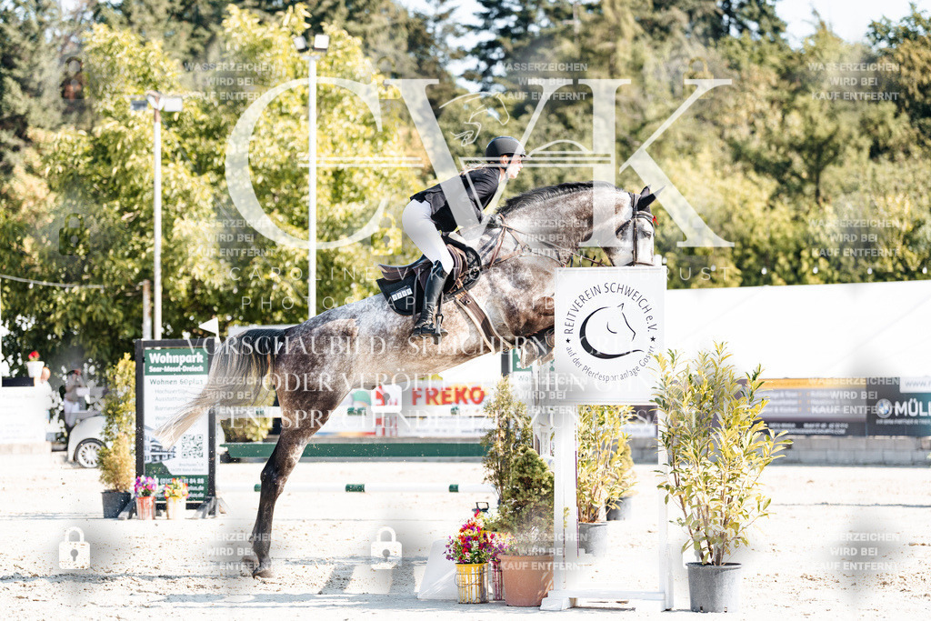 CK902263 | Turnierfotografie Pferdefotografie Trier Rheinland-Pfalz Pferdesport Reitsport Tierfotografie Sportfotografie Pferdevideo Pferdevideografie Equestrianvideography equestrianphotography  - Realisiert mit Pictrs.com