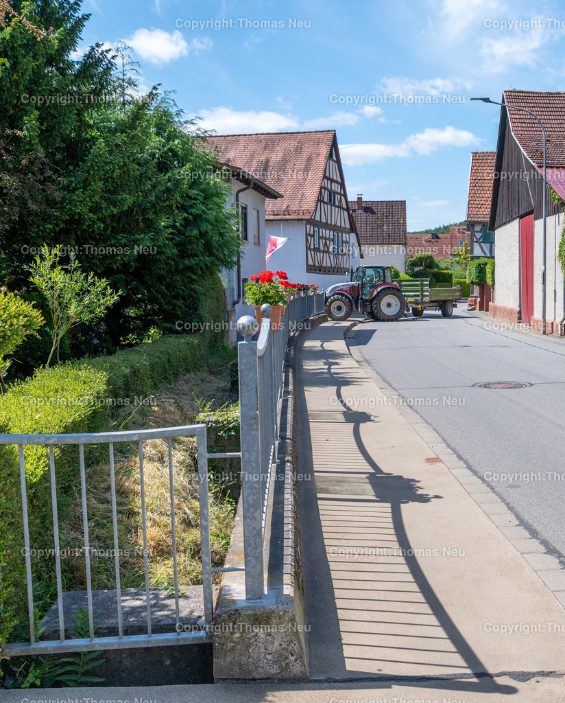 DSC_2304 | bfr, Hochstaedten, Weg im Jahre ,, Bild: Thomas Neu