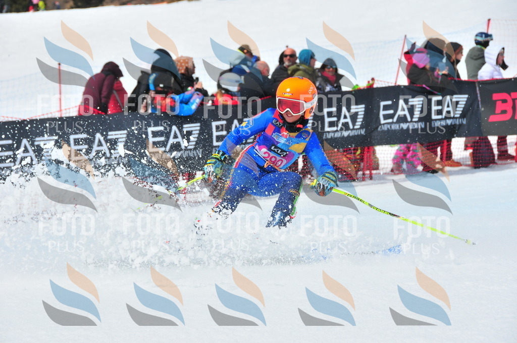 DSC_6455 | holidayphoto