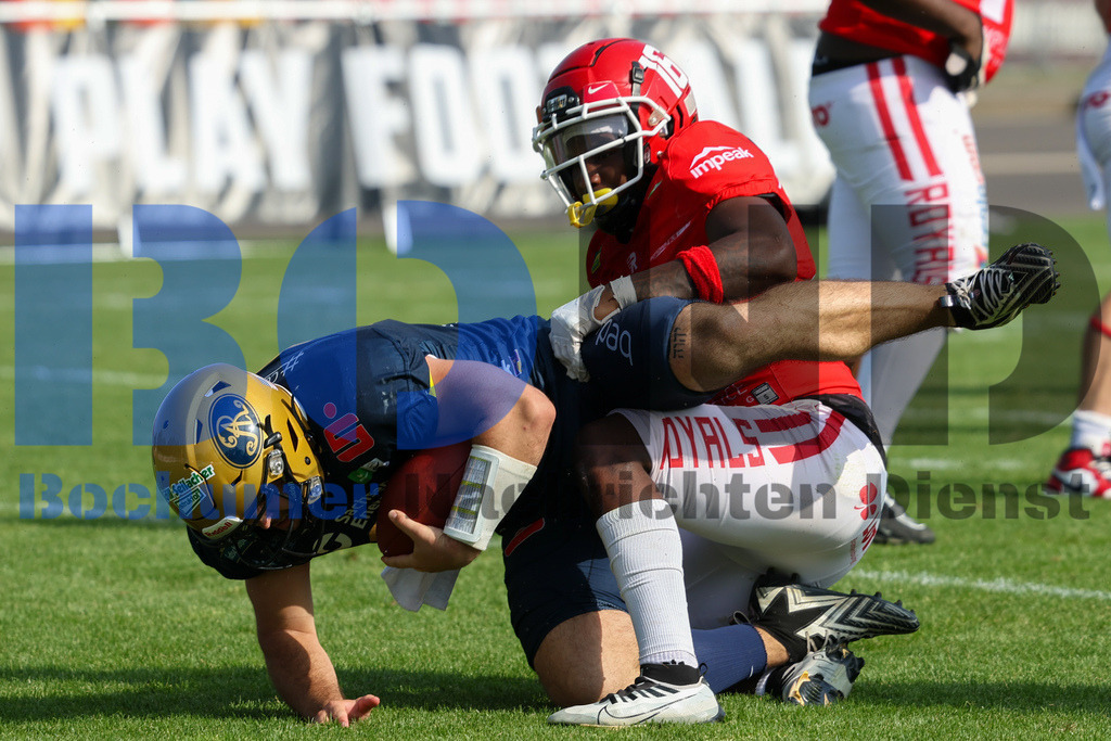 GFL: Potsdam Royals vs. Dresden Monarchs{date} -  | {headline}(Foto: Thomas Sobotzki / BOND) - Realisiert mit Pictrs.com