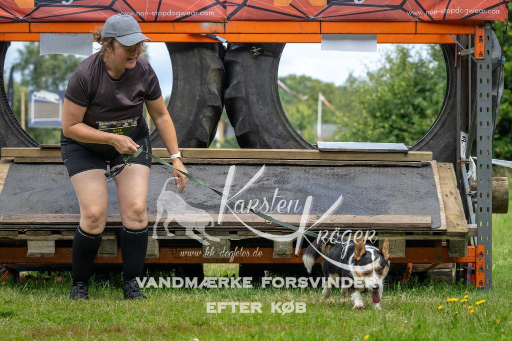 1234_ZZ94112 | kk-dogfotos