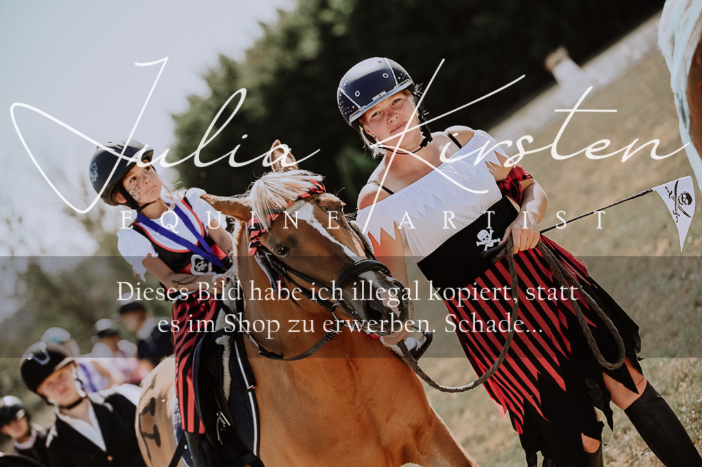 DSC_9075 | Pferde- und Turnierfotografie in Westsachsen. Pferdeportraits, Auftragszeichnungen und intuitive Kunst.