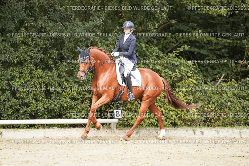 DSC02742 | Pferdegrafie