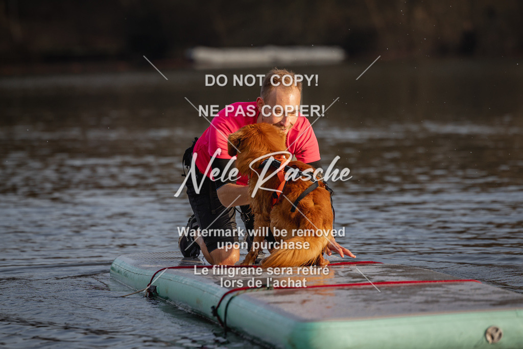 nelerasche_Hulsbeek_Sa1700-1730_258 | nelerasche