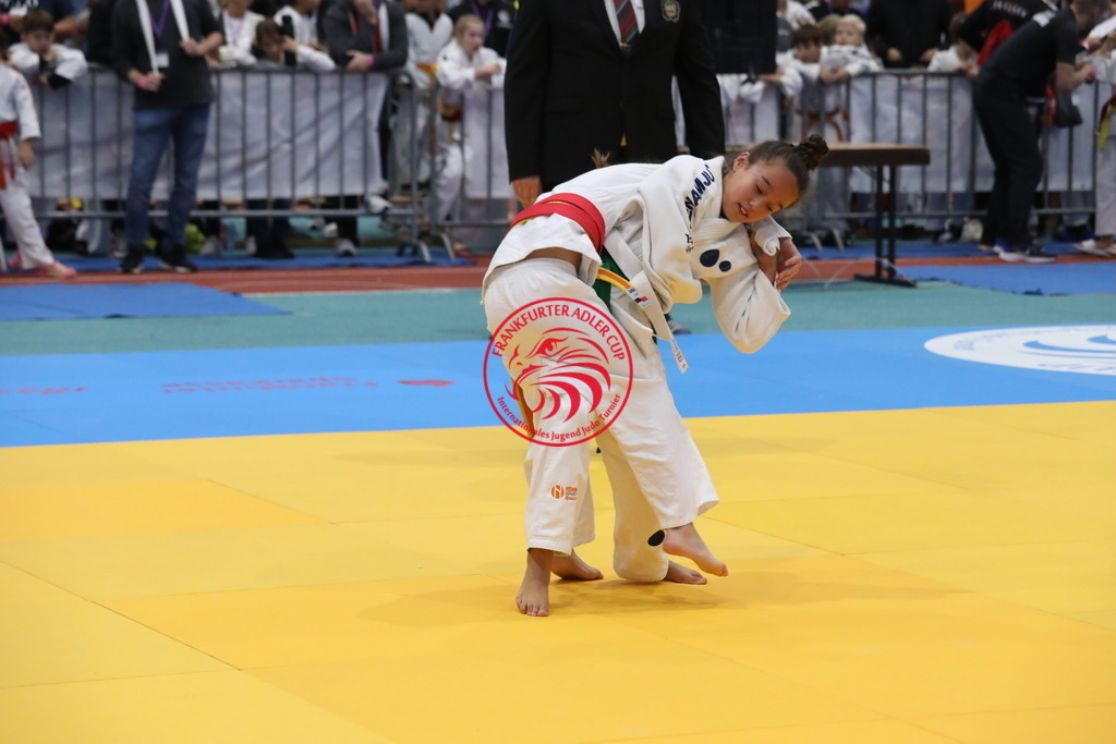 1J7A3012 | Fotos vom Adler Cup - Pictures from Adler Cup

Hier findet Ihr alle Eindrücke und großen Momente der Adler Cup Wochenenden. Here you will find all impressions and great moments of the Adler Cup weekends. - Realisiert mit Pictrs.com