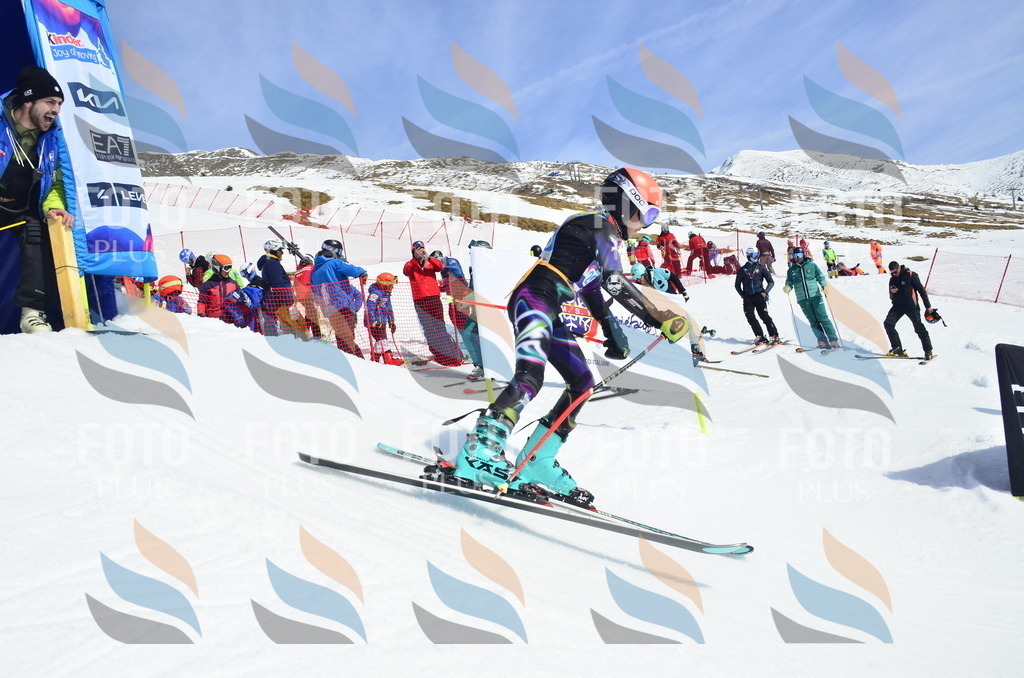 _ELE1368 | holidayphoto