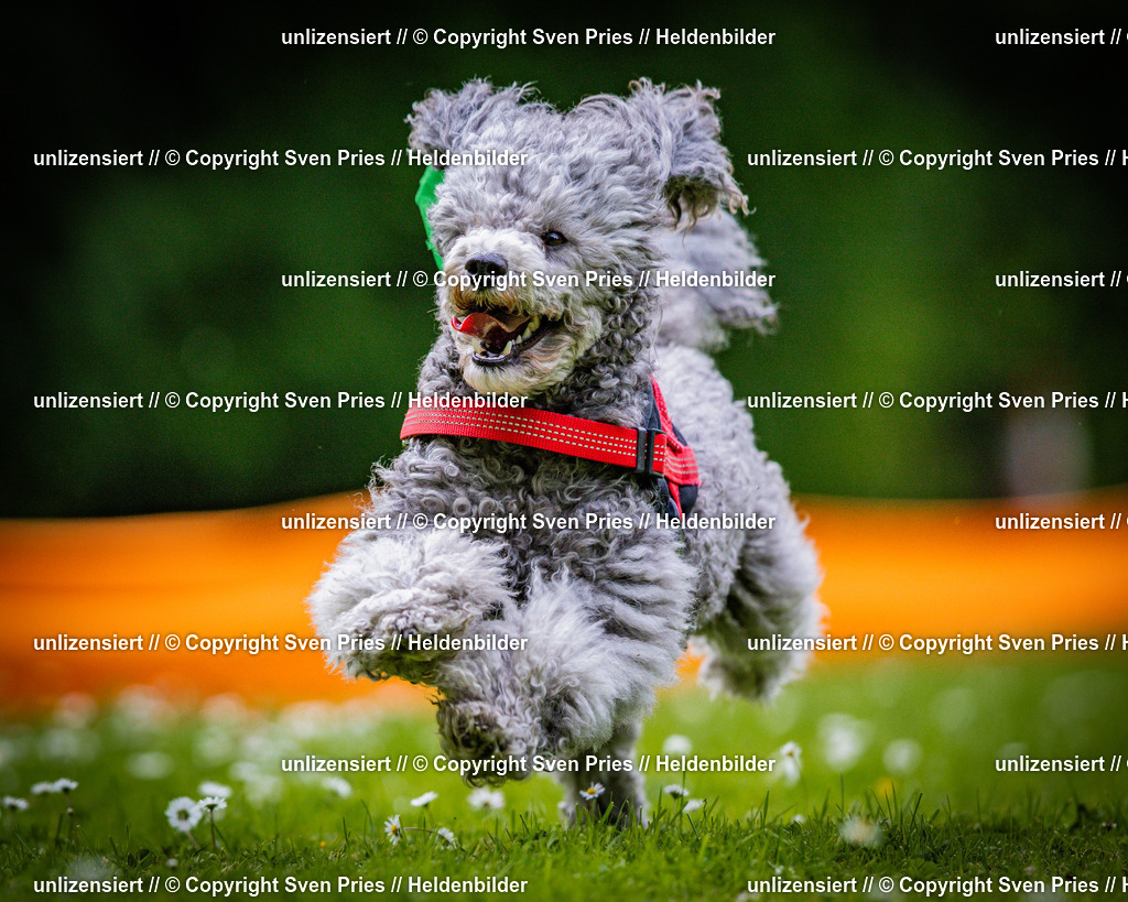 Sven Pries | 2025-05-29 - Pudelrennen KA-Durlach - Realisiert mit Pictrs.com