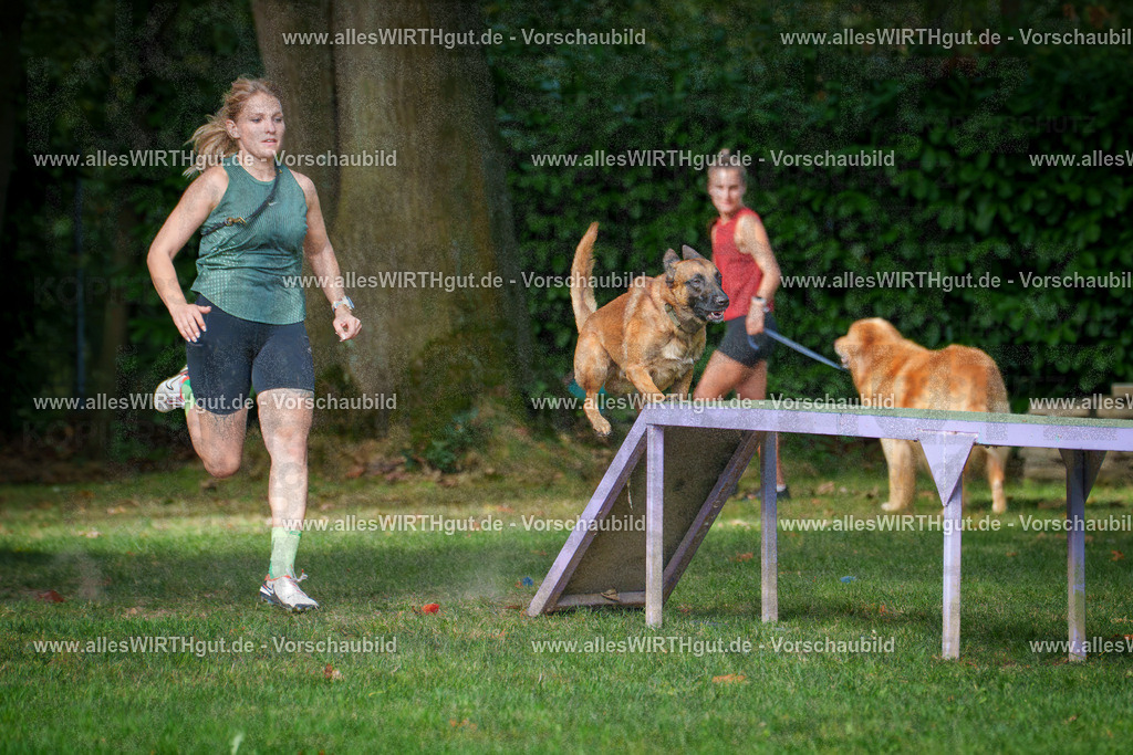 THS_Turnier_27-09-2026-allesWIRTHgut_Tierfotografie-7R507100 | Professionelle Tierfotografie in Mönchengladbach von Daniel Wirth (allesWIRTHgut). Liebevolle & natürliche Bilder von Hunden & Katzen für unvergessliche Erinnerungen.