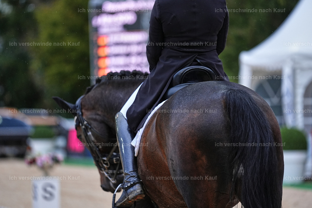 8_2-193-DRESSUR S_  -Marixx-4624 | working equitationturnier fotograf videograf stoibphotography marixx film working equitation deutschland reitsport turnierfotografie eventfotografie equestrian events