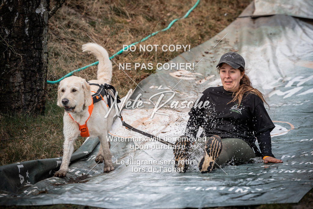 nelerasche_1330-1400_118 | nelerasche