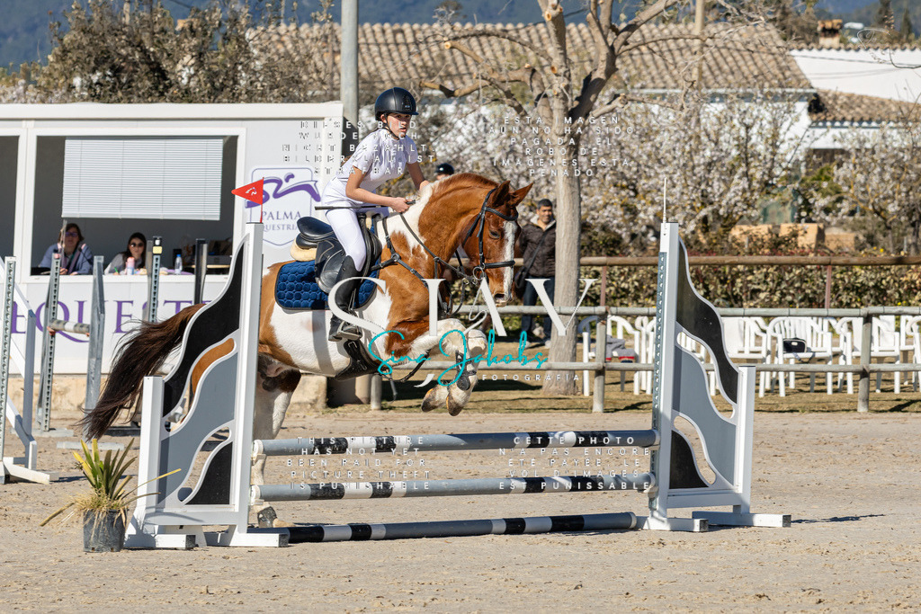 IMG_8389 | s-jay-photography - Realisiert mit Pictrs.com