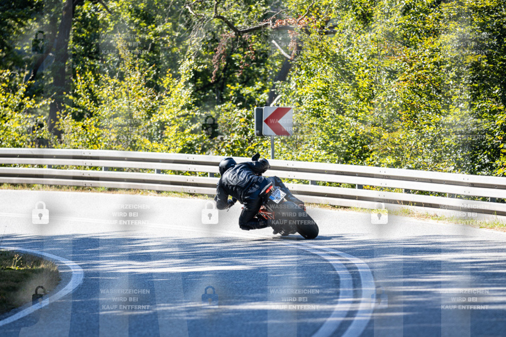 IMG_3251 | jrph - Realisiert mit Pictrs.com