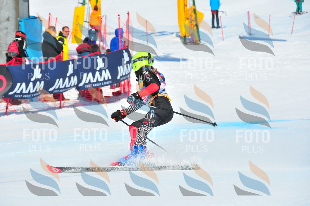 DSC_4676 | holidayphoto