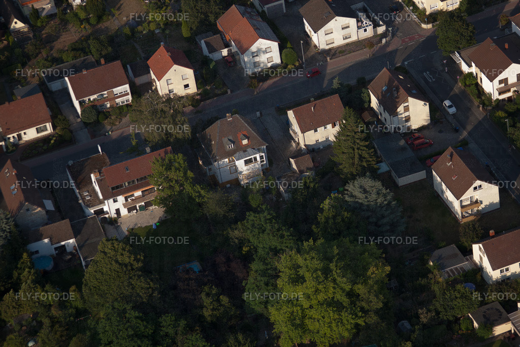 Vom-Stein-Straße | Luftbild: Vom-Stein-Straße im Ortsteil Dannstadt in Dannstadt-Schauernheim im Bundesland Rheinland-Pfalz in Deutschland. Foto: IMG_68934.jpg vom 24.06.2014 durch Werner Riehm/FLY-FOTO.de - Realisiert mit Pictrs.com