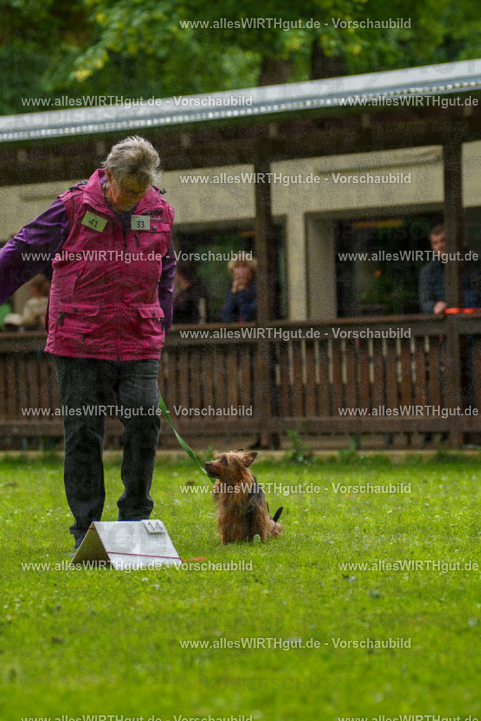 @allesWIRTHgut_Tierfotografie - www.allesWIRTHgut.de - 130859-7R509851 | Professionelle Tierfotografie in Mönchengladbach von Daniel Wirth (allesWIRTHgut). Liebevolle & natürliche Bilder von Hunden & Katzen für unvergessliche Erinnerungen.
