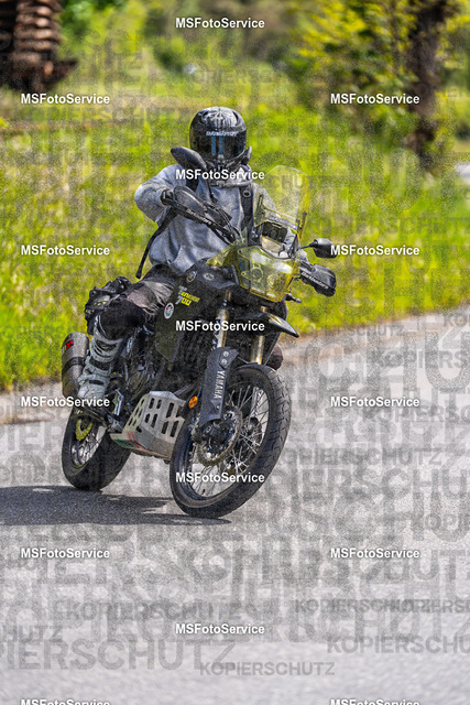 MSFotoService-504 | MSFotoService - Realisiert mit Pictrs.com