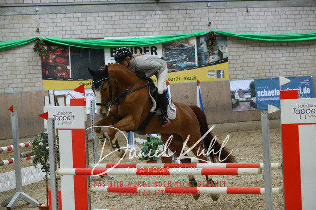 IMG_0642 | Turnierfotos kaufen im Webshop von Daniel Kuhl Photography – entdecke professionelle Reitsportfotos aus Turnieren & Events. Hochwertige Turnierbilder online bestellen & sichern. Jetzt Fotos von Reitsportturnieren kaufen!