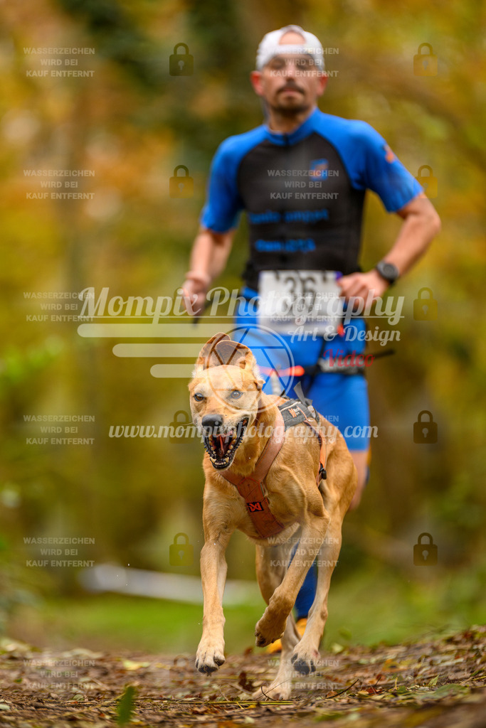 MompixPhotography_Bischwiller24_SA_Canicross-17 | mompixphotography