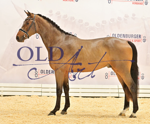 29 DE418180111620 HM Soundcheck - Lordanos - Landor S_b | <meta name="description" content="★Offizieller Merchandise und Foto-/Videostore des Oldenburger Verbandes.★ ✅Jetzt auch digital Ausdrucke erhältlich." />
<meta name="keywords" content="Merchandise Foto-/Videostore Oldenburger Verband Photographie 