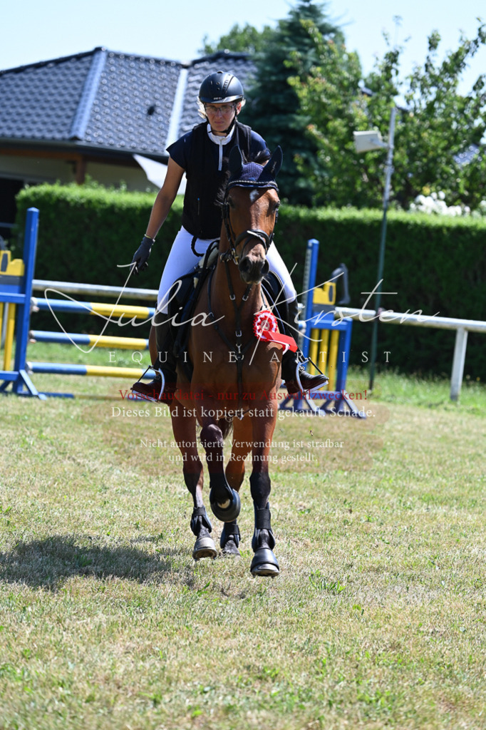 DSC_0907 | Pferde- und Turnierfotografie in Westsachsen. Pferdeportraits, Auftragszeichnungen und intuitive Kunst.