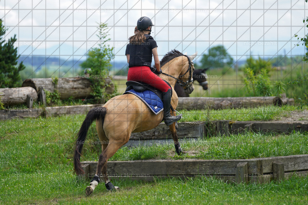 20240622-FAH07362 | Turnierfotografen Bayern, Reitsportbilder aus dem Geländekurs mit Felix Etzel auf dem Gut Waitzacker 2024
