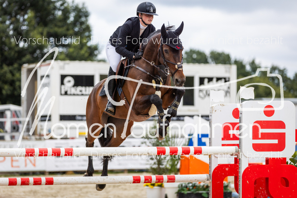 BHO-2PhSpr-M-5-2357 | MomenTaufnahmen Pferdesportfotos