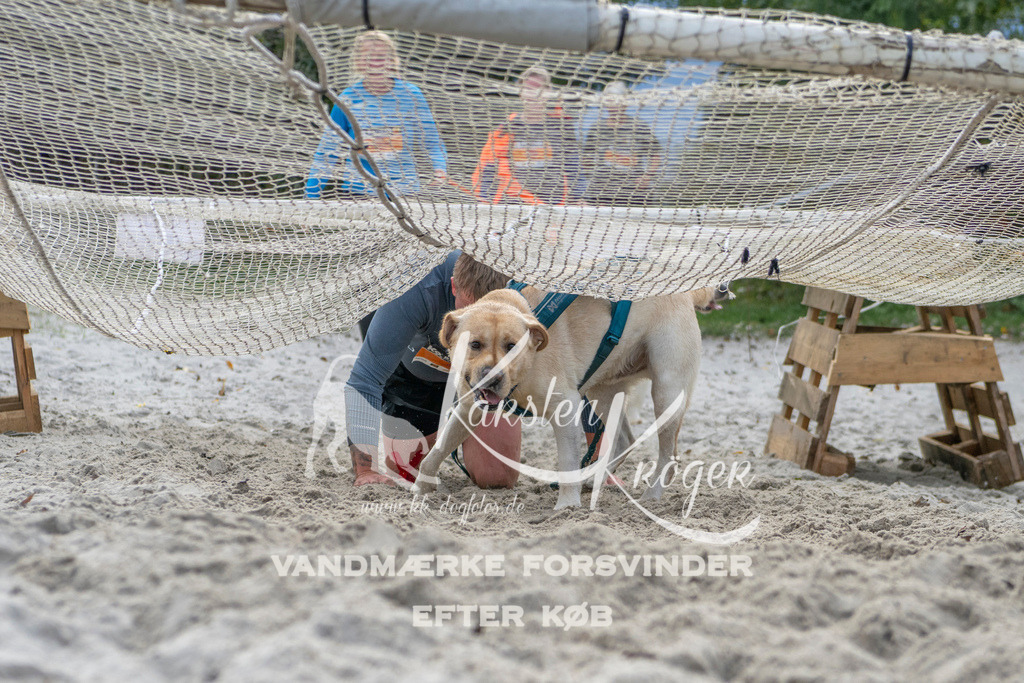 1133_ZZ97480 | kk-dogfotos