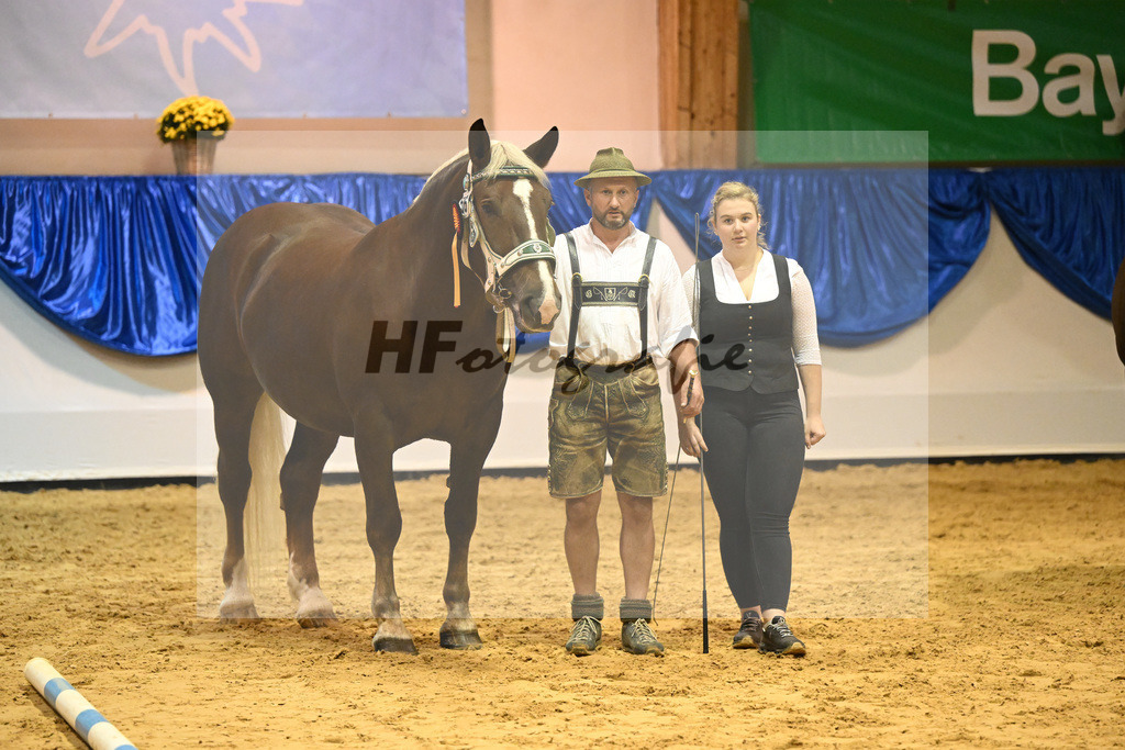 Kat-Nr. 56 Monamour_Buechl_53221273 | hf-fotografie - Realisiert mit Pictrs.com