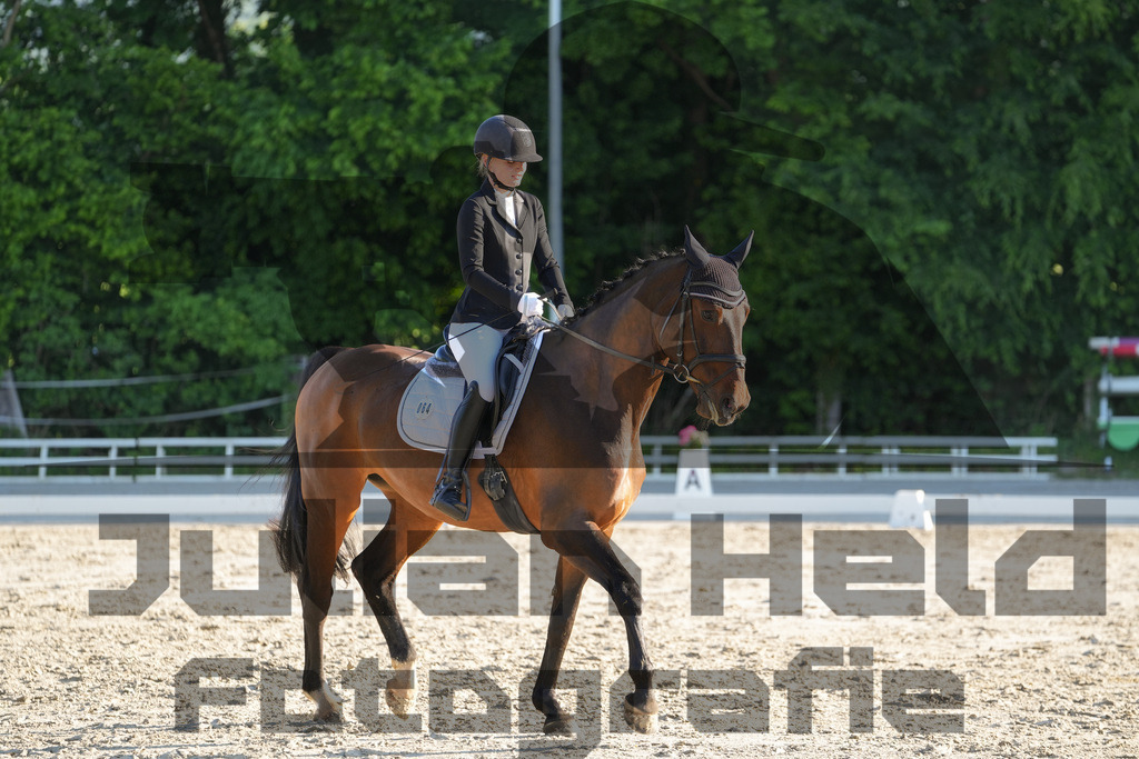 DSC02658 | Julian Held Fotografie - Realisiert mit Pictrs.com